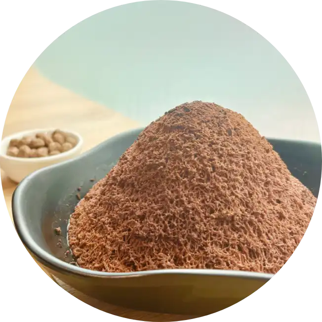 Chocolate Bingsu